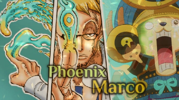 Analisis Kemampuan Api Biru Dari Marco The Phoenix !!!