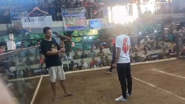 4 stag Derby Co Champion  Tuy Batangas CSUGF