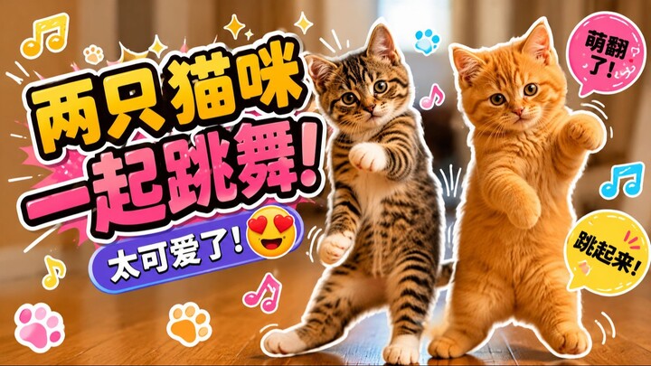 两只猫咪一起跳舞，太可爱了！😂💃