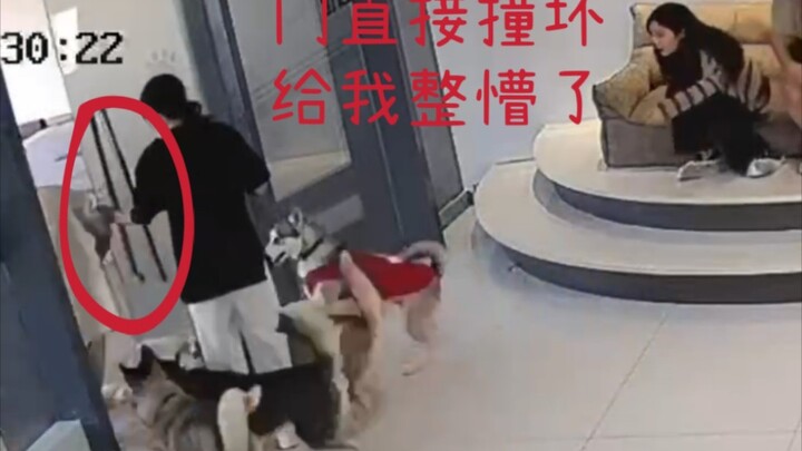 All staff at an underground dog-sniffing venue fled by breaking down the door; after being caught, t