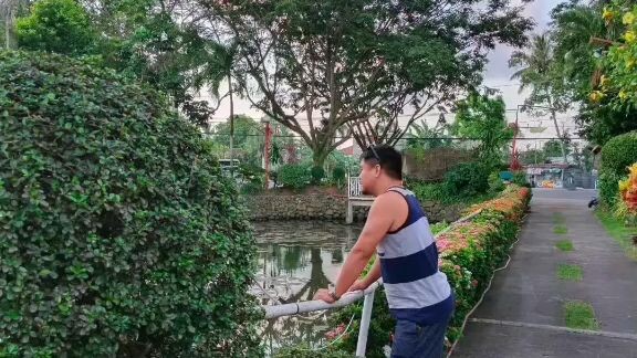 wla lng