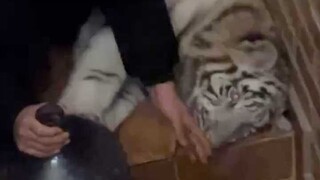 الأم هي التي يجب أن تتخذ الإجراء