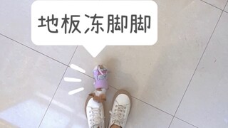 ليس لدى البشر أي فكرة عن مدى صغر حجم الشيواوا