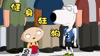 恶搞之家：布莱恩为撩妹子不惜成为健身达人，谁知最后却跑断了腿
