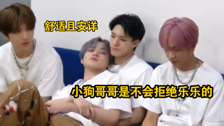 【نو لِه】حلقات الراحة المتراكمة/أين يضاهي الأريكة راحة ساقي أخي؟