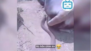 Các chúa hề ngoài đời thực p10 #funny