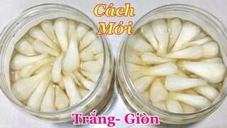 CỦ KIỆU ĐƯỜNG- Chi tiết dễ làm kiệu ngâm chua ngọt giòn rụm ăn được cả năm, công thức kinh doanh