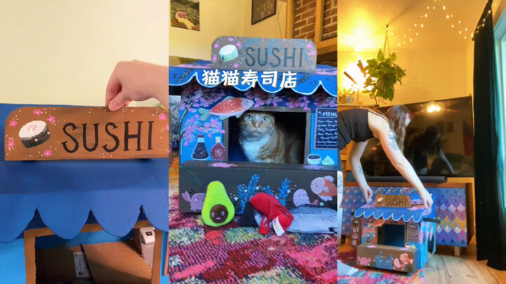 Quán sushi mèo 🍣