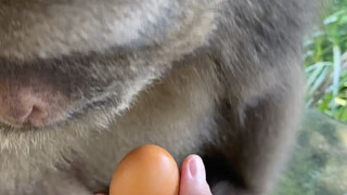 He's really such a good boy! He even smiles when he sees familiar faces and greets you with "hmm hmm