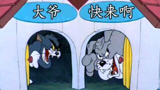 童  年  生  草