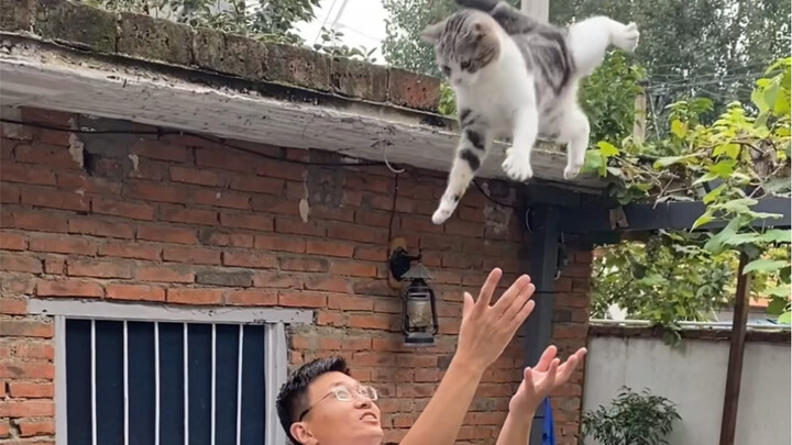 A major faceplant moment