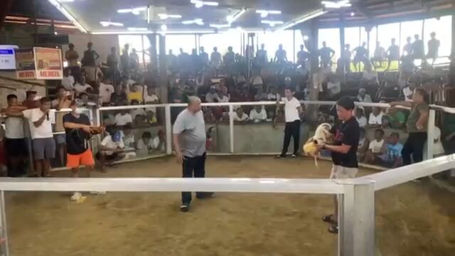 Super Choco 2x winner