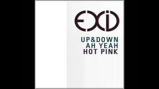 [MASHUP] EXID - 위아래 (UP&DOWN) X 아예 (Ah Yeah) X 핫핑크 (HOT PINK)