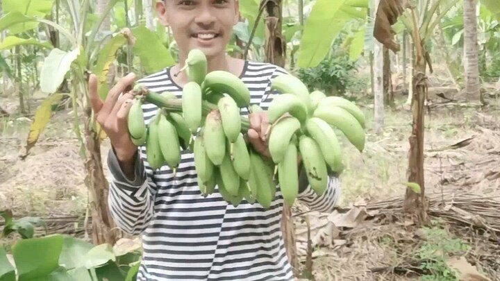 pisang ambon
