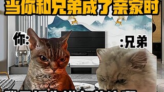 《猫meme小剧场》当你和兄弟成了亲家时！