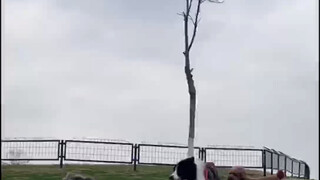 พ่อบ้านก็ต้องได้พักร้อนเช่นกัน