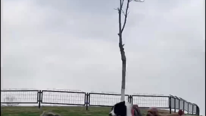 管家也要休假。