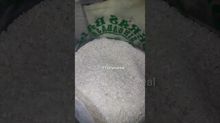DYMA |ASMR RAW RICE EATING |Makan Beras | asmrrawriceeating| #asmrsounds  #asmr #shorts #mukbang(1)