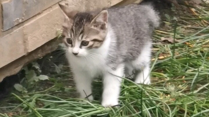 Mom’s not here—I’m free!