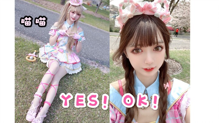 [Meow meow] YES! OK! Under the cherry blossom tree, can I live in your heart?