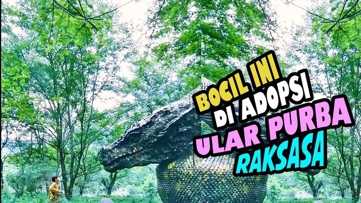 Bocil Ini Di adopsi Ular Raksasa.
