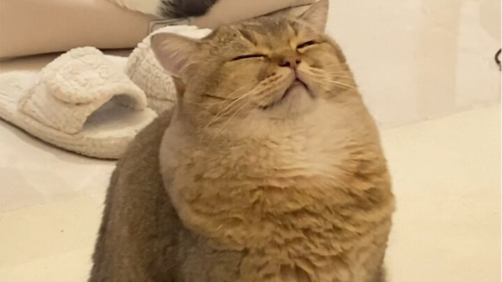 Others raise kittens; I raise tall nuts.