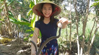 Rắn chiên giòn chua cay