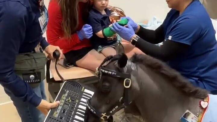 In a children’s hospital in California, this little pony is the most important attending physician!