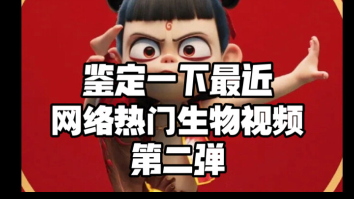 【用狐主任打开哪吒第二弹】鉴定一下网络热门生物视频