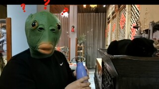 رأس السمكة الخضراء لا يناسبهم! في المرة القادمة، ابعثوا شيئًا ممتعًا للجميع!