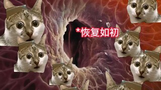 当你受伤出现伤口时