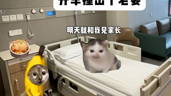 Đâm ra được một cô vợ