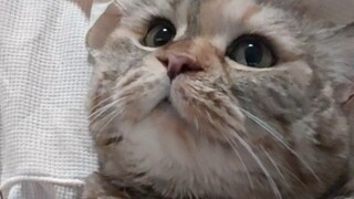 Why does mom always like to hug me?