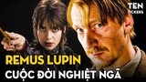 REMUS LUPIN - Câu Chuyện Buồn Từ Khi Được Sinh Ra | Harry Potter Series