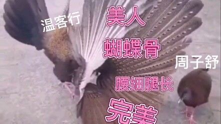 【ซานเหอหลิง】หญิงงามย่อมหวั่นใจต่อชายเจ้าชู้