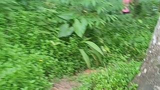 pasyal kami sa bundok part 1