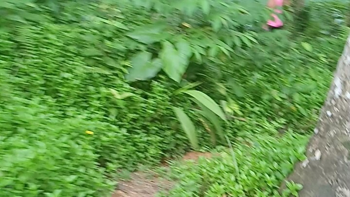 pasyal kami sa bundok part 1