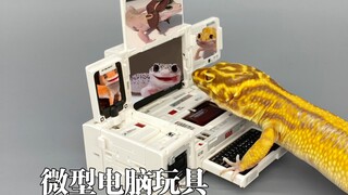 原来是做给你小子玩的！52toys流浪地球2，550c、550w