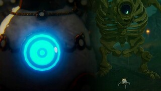 Terrako VS Hinox (Size Doesn't Matter) - Hyrule Warriors: Age of Calamity