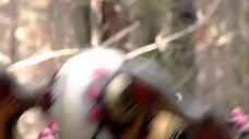 Siêu Nhân Rừng Xanh (BẢN MỸ) Tập 30 - Power Ranger Jungle Fury