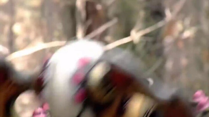 Siêu Nhân Rừng Xanh (BẢN MỸ) Tập 30 - Power Ranger Jungle Fury