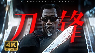 25年，迄今为止只有一个刀锋战士，往后也只有一个！【4k/韦斯利·斯奈普斯】