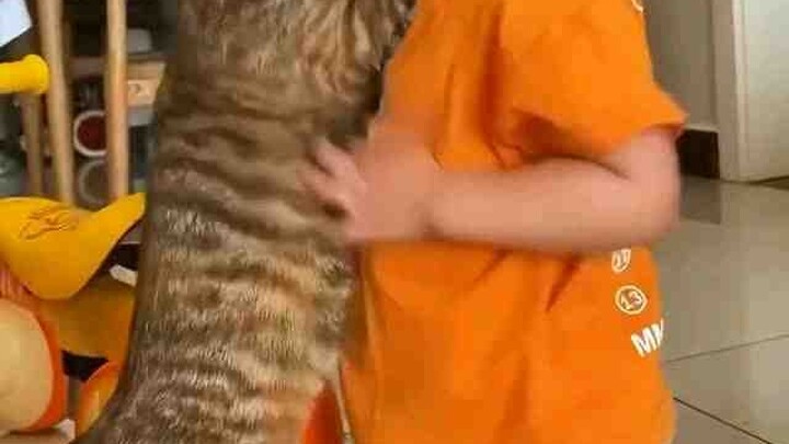 Tên tay sai mèo này