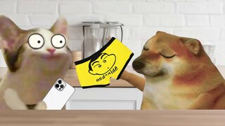 Tiền của tôi là tiền của bạn, đồ lót của tôi là đồ lót của bạn