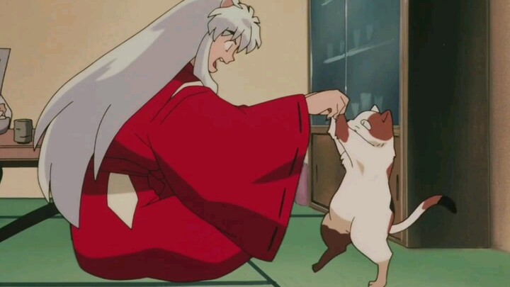 [InuYasha] Rất thích Ergouzi đến Huyndai đón Kagome, gia đình mẹ chồng tốt, InuYasha quá đáng yêu trêu mèo ăn thịt nướng.