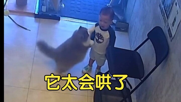 猫：不哭不哭 给你摸摸 碰头头 好朋友