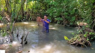 Mưa Lớn Đi Thả Lú Bắt Cá về Nướng Chấm Mắm Gừng | út đạt | # 407