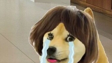 Có vẻ hơi vô lý!