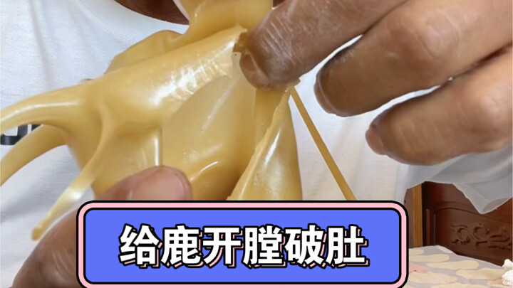 Brother Deer Gutted Open