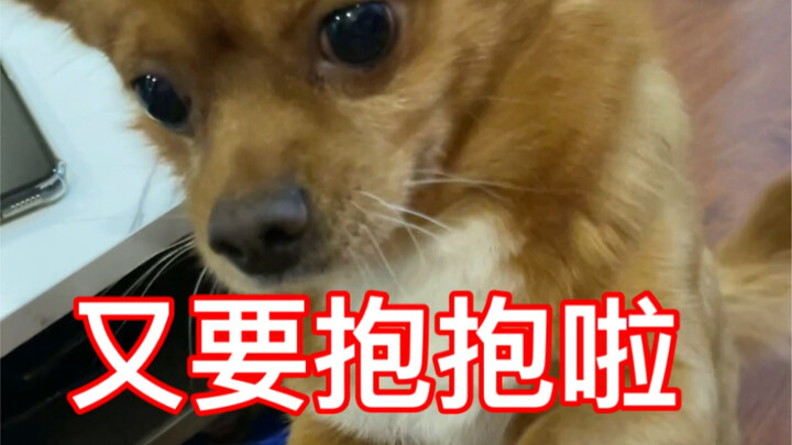 The Way My Kid Loves Me